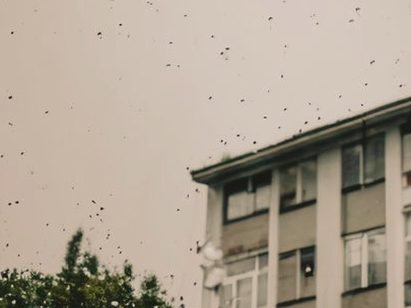蛻變